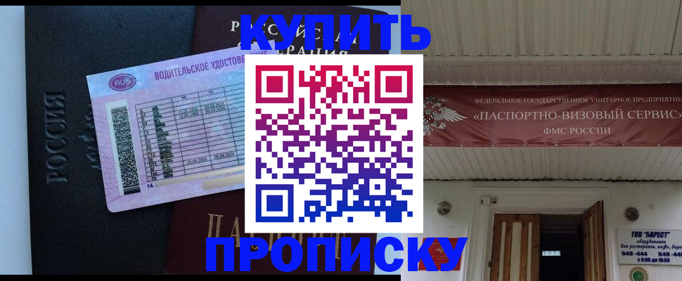 временная регистрация поиск в Барыше